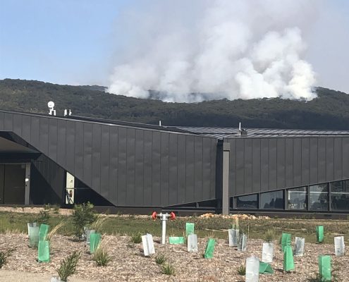 Controlled burn, Mount Macedon